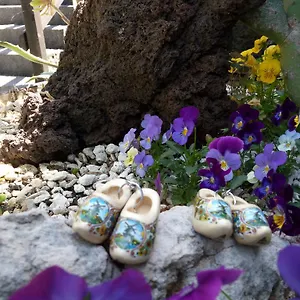 https://etma.sicilyhotelsitaly.net